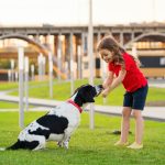 基本となる犬の飼育方法を神澤さんに聞いてみる