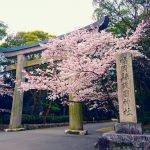 神社本庁の役職と役割。神社における人材の重要性