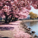 美景と共に楽しむ、日本の絶景ゴルフ場